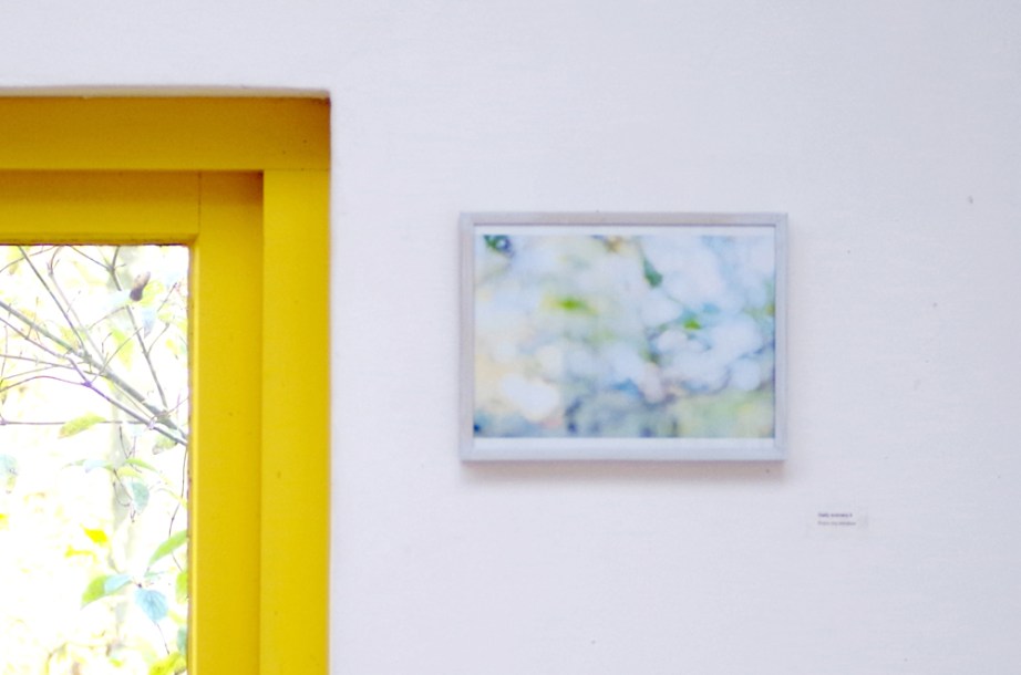 Daily scenery ii From my window